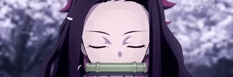 Nesuna banner