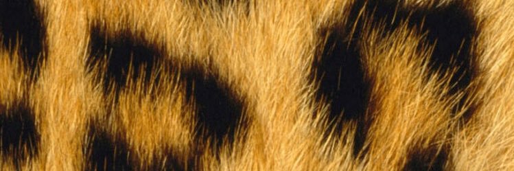 K_Remains's profile banner image