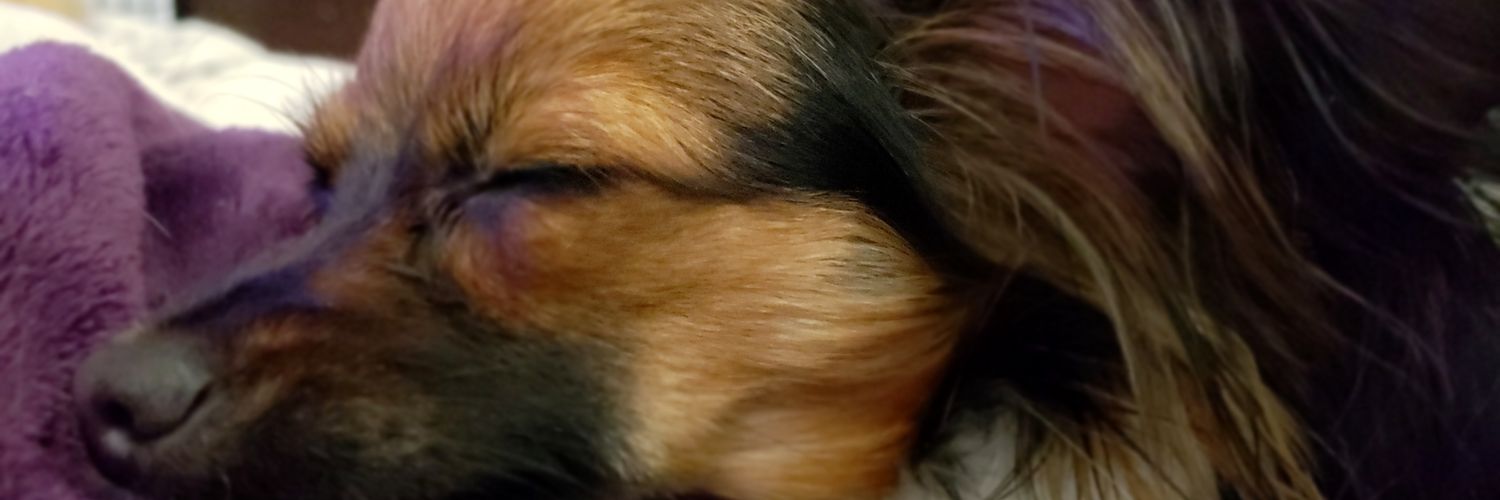 psouza4's profile banner image