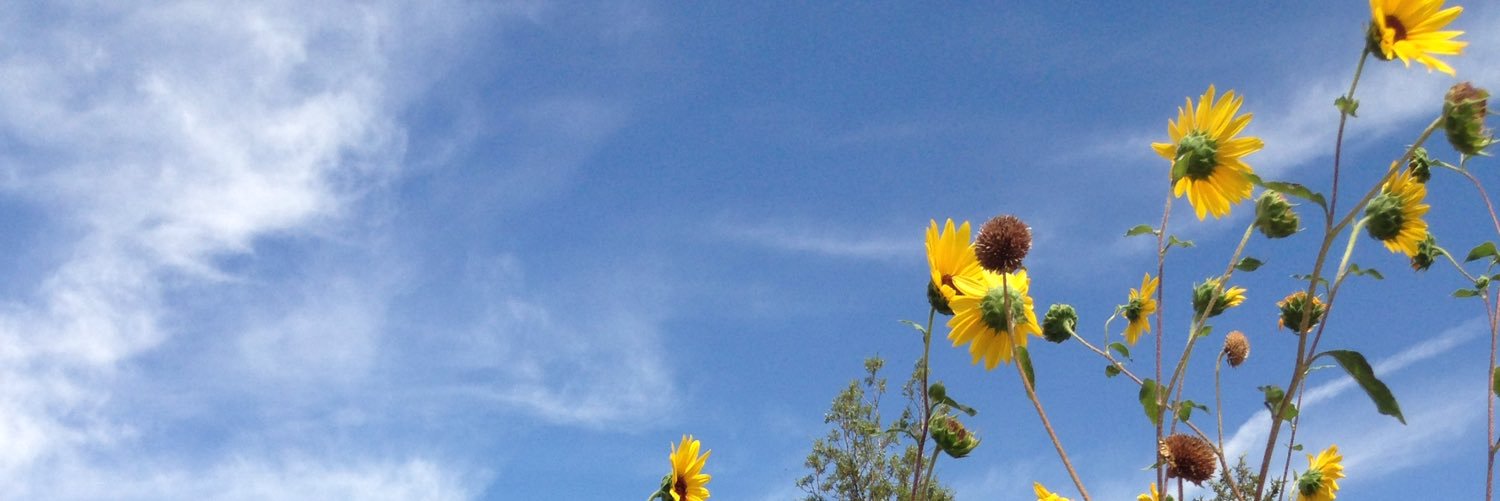 RachelATyree's profile banner image