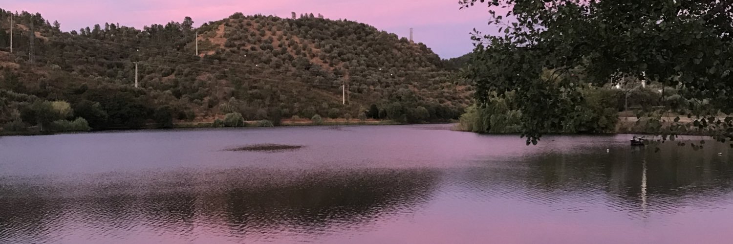 ChicoSousaf's profile banner image