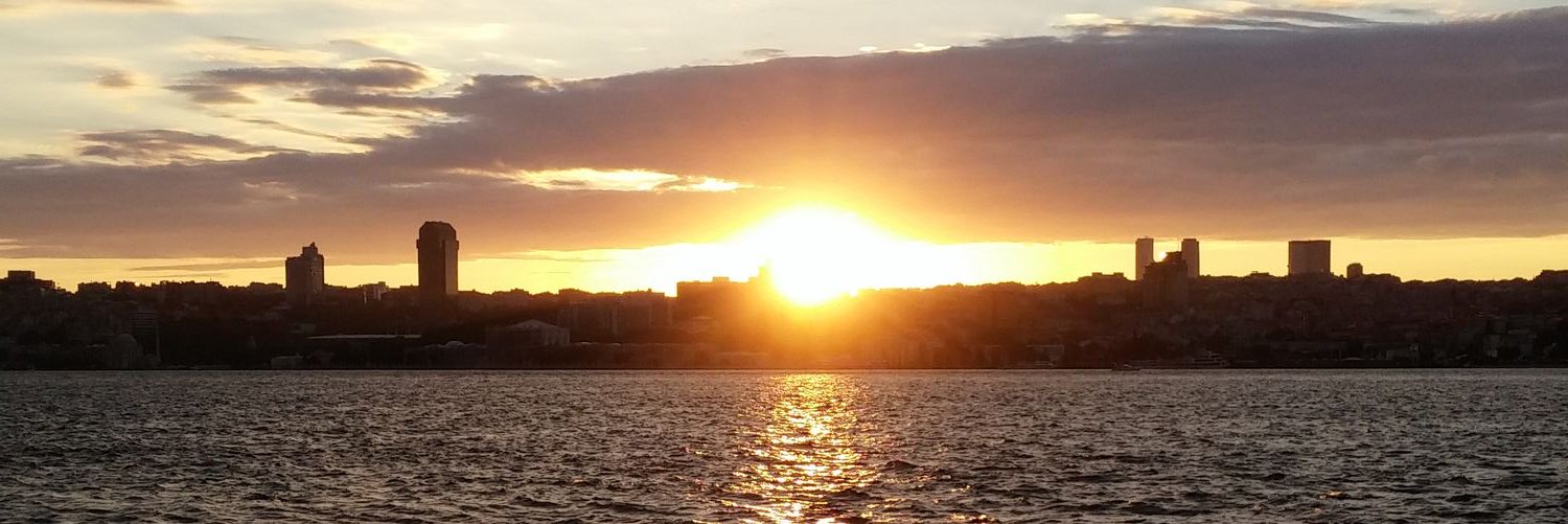 nullSafetly's profile banner image