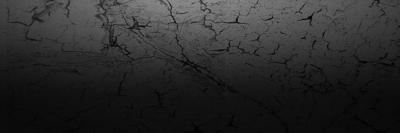 ediyodowedaf403's profile banner image