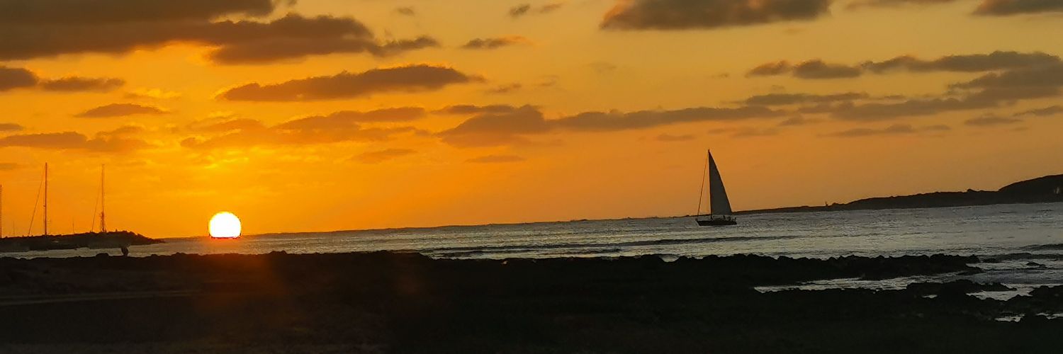 VickyDenis1's profile banner image
