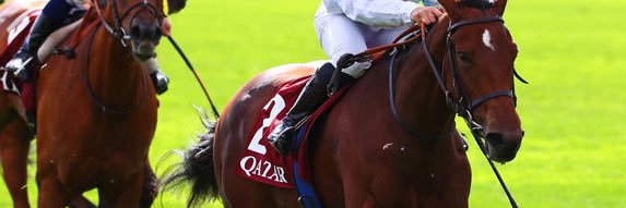 Kellsgrange Stud banner