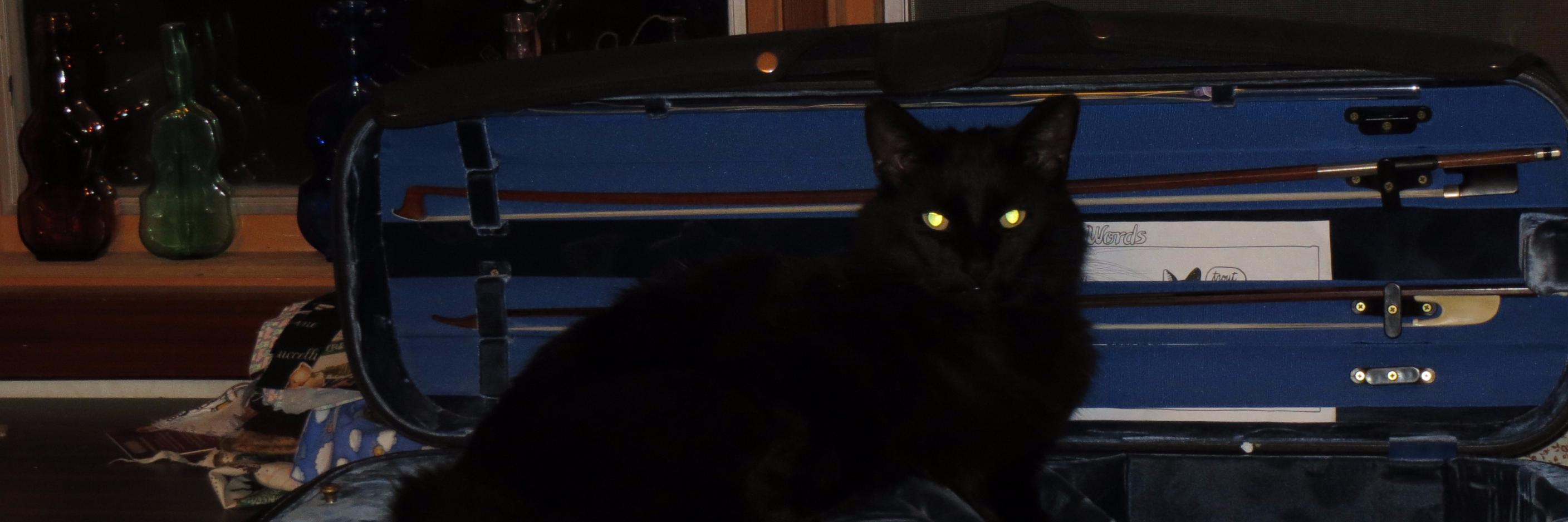 MariaCaswell1's profile banner image