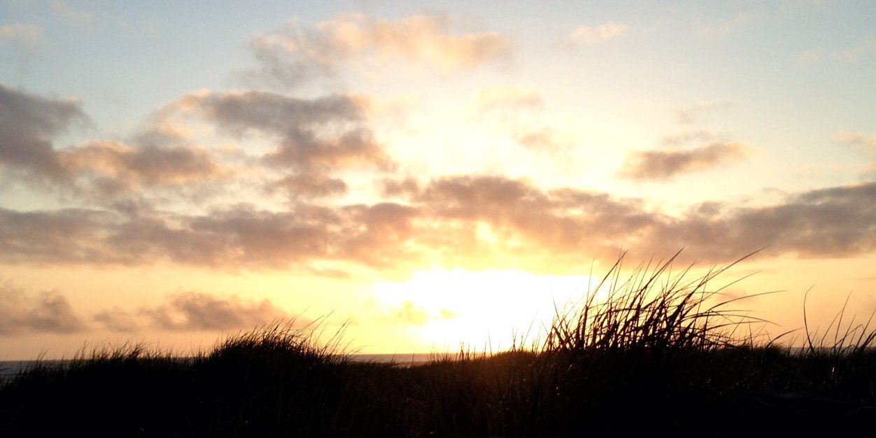 SNLands's profile banner image