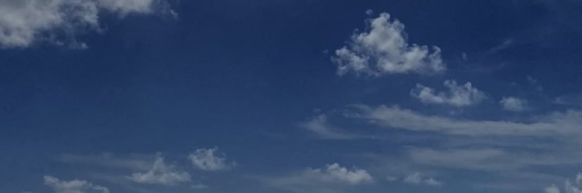 saskiadukee's profile banner image