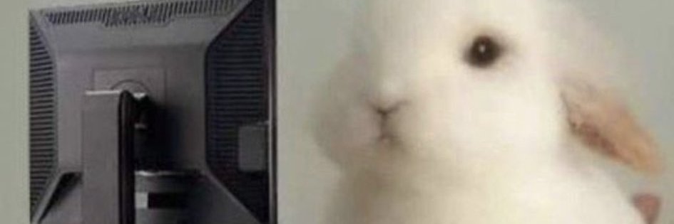 ZuriLewd's profile banner image