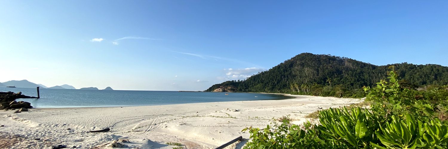 Edelweisslover's profile banner image