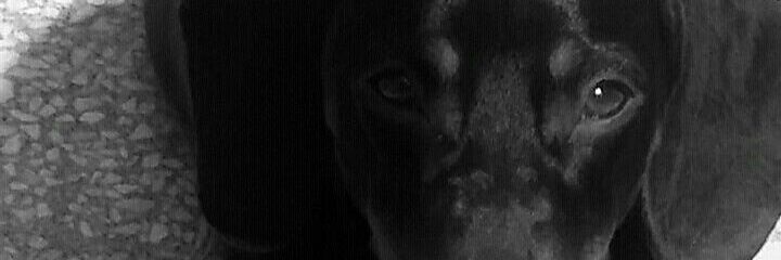 _ffariastecla's profile banner image