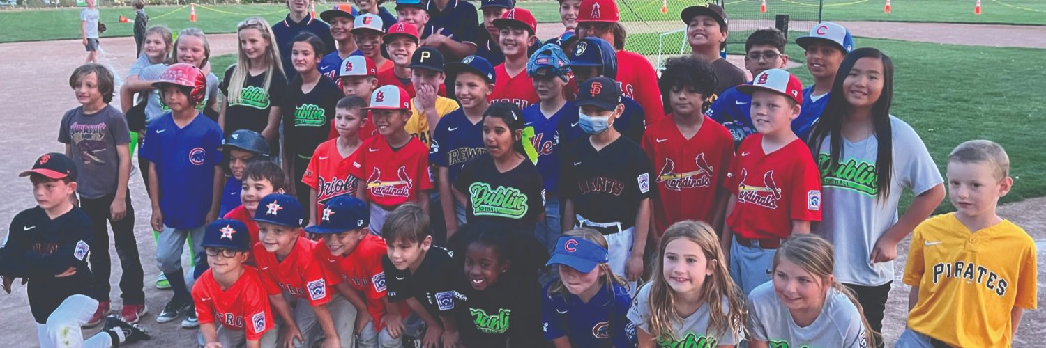 Dublin Little League banner