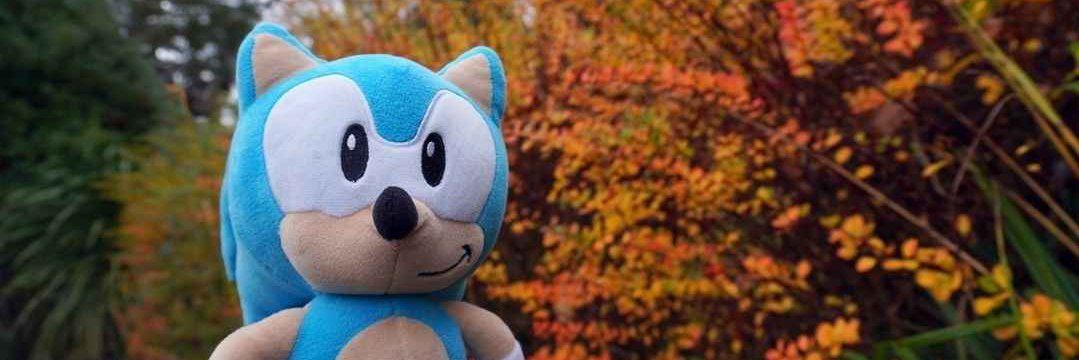 wave!! 🏳️‍⚧️ banner