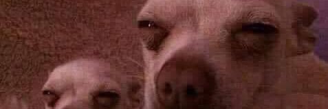 Manzuri42's profile banner image