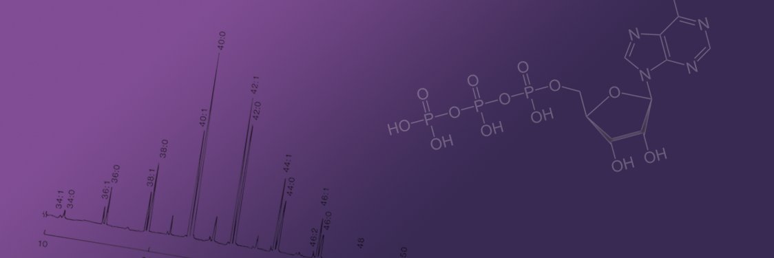 Analytics Lounge banner