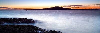 JaniceJF8 banner