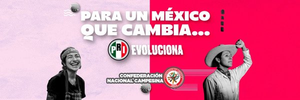 CNC_Michoacan_ Profile Banner