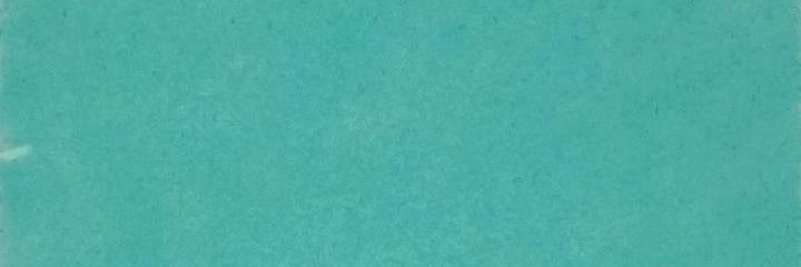 Arinidina banner