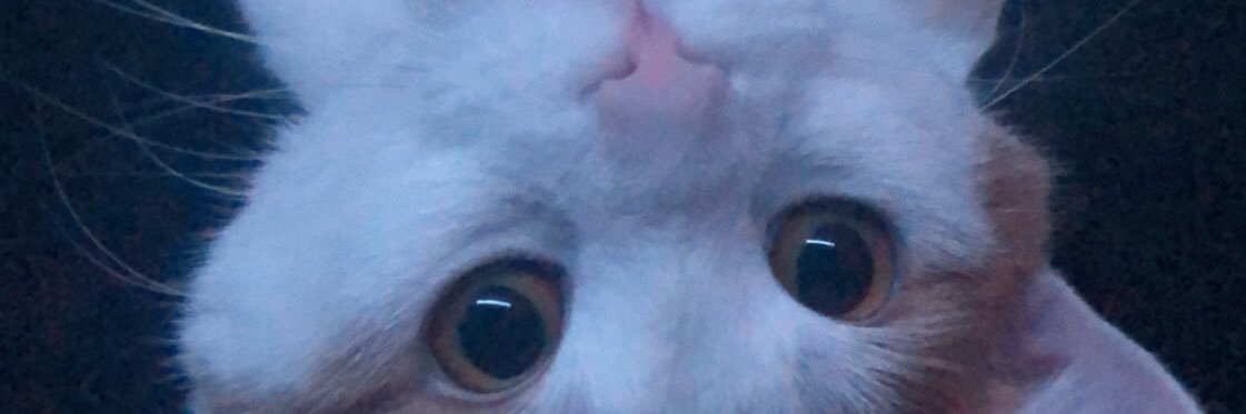 chromofest's profile banner image