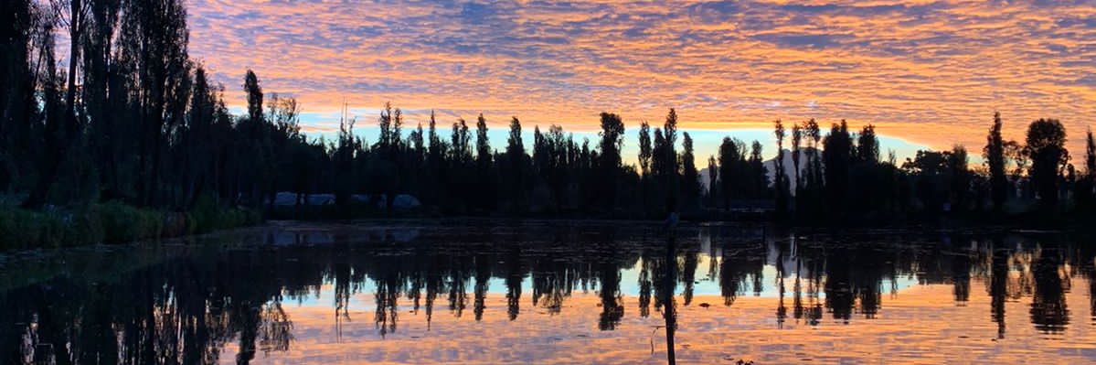 marelivano's profile banner image