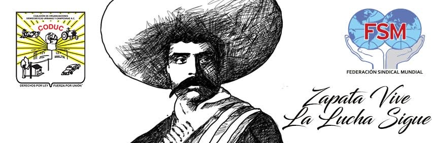 Coduc, A.C. banner