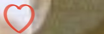 BukurijeNavon's profile banner image