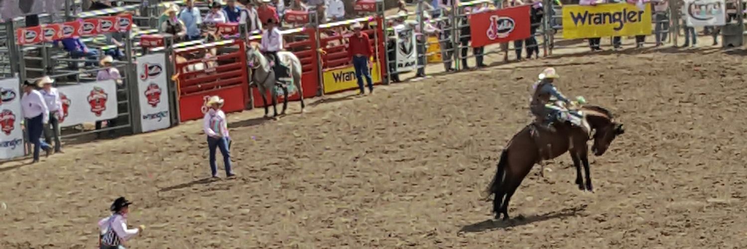 MyTweetingHeart banner