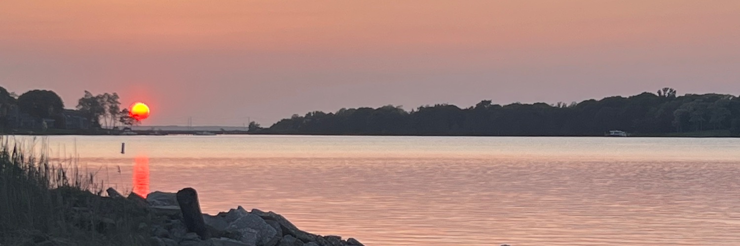lauramustard's profile banner image