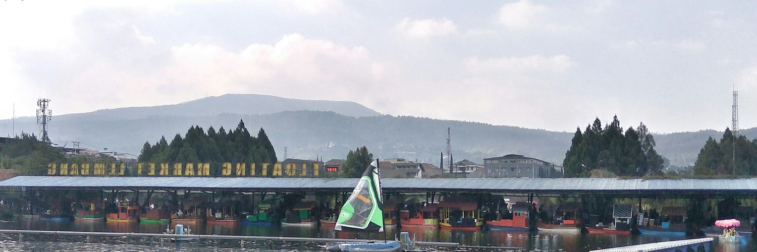 Your roses 🌹 banner