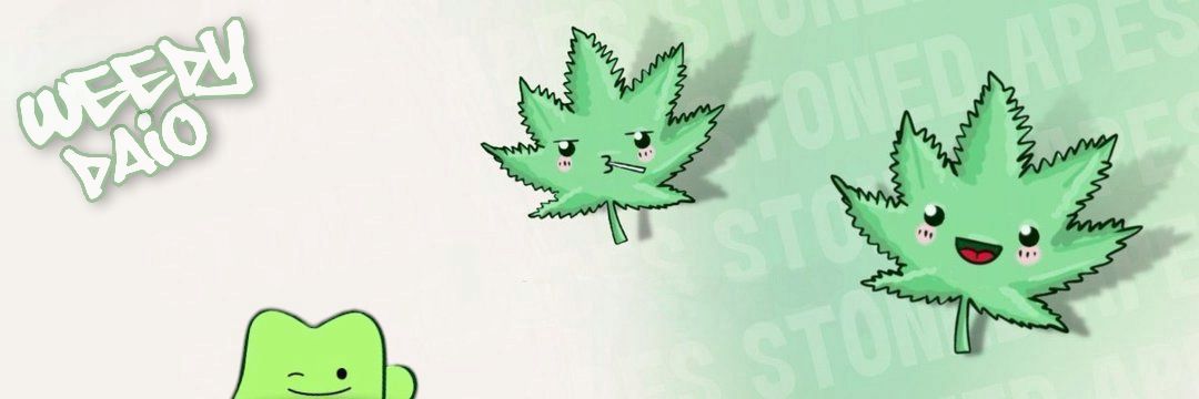Flippa | SNS's banner