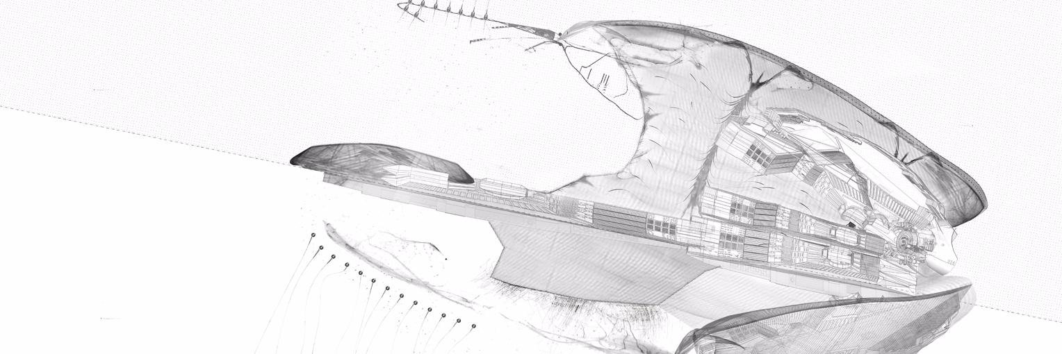 HopesCreek's profile banner image