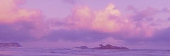 雀辛言子 banner