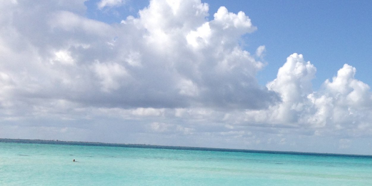 Brian_Blank's profile banner image
