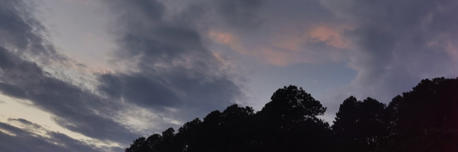 pensheji's profile banner image