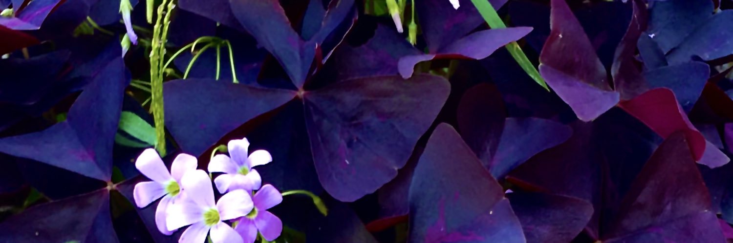 klippold6's profile banner image