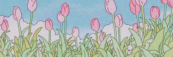 moon_cals's profile banner image