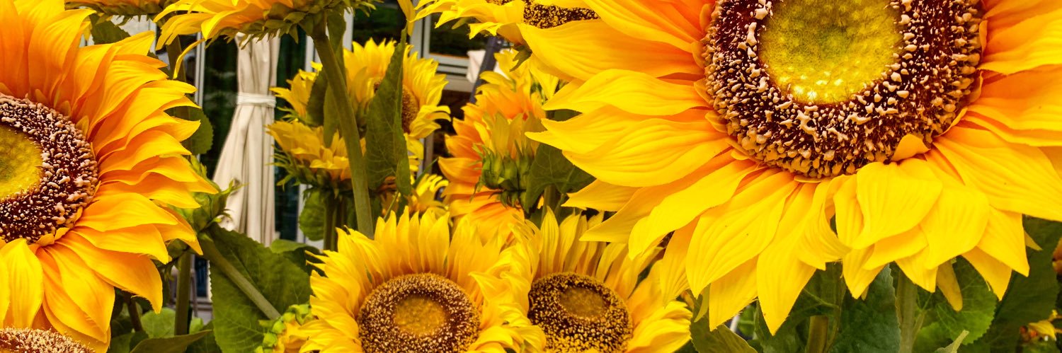 mikumake's profile banner image