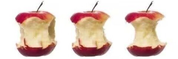 nulldion Profile Banner