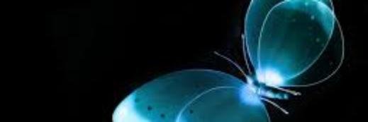 paulamedlands's profile banner image