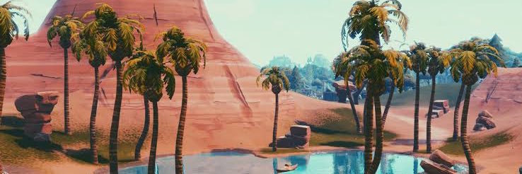 SillyMonkey982 banner