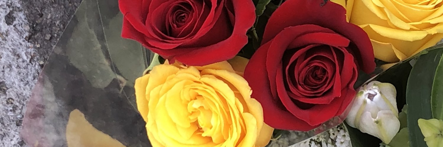ohSnaps_Wendy's profile banner image