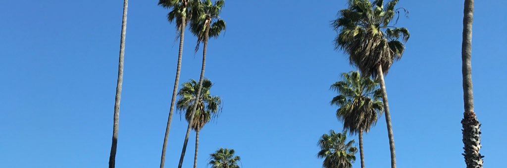 mwalkercreative's profile banner image