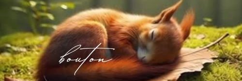 憲法と矛盾する法律は全て無効だ☆ヽ(=´▽`=)ﾉ犯罪大国日本になっちゃうよ banner