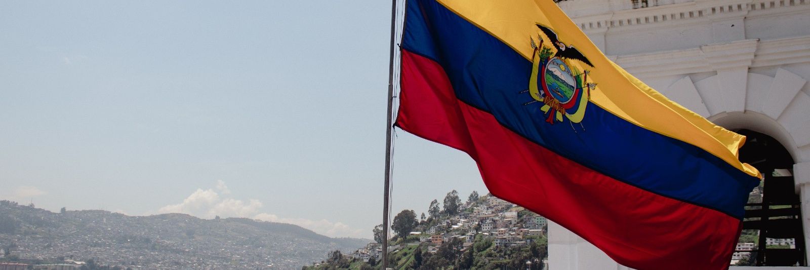 dlegarda's profile banner image