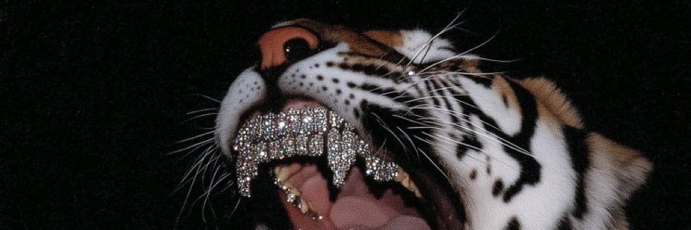 _thaservant's profile banner image