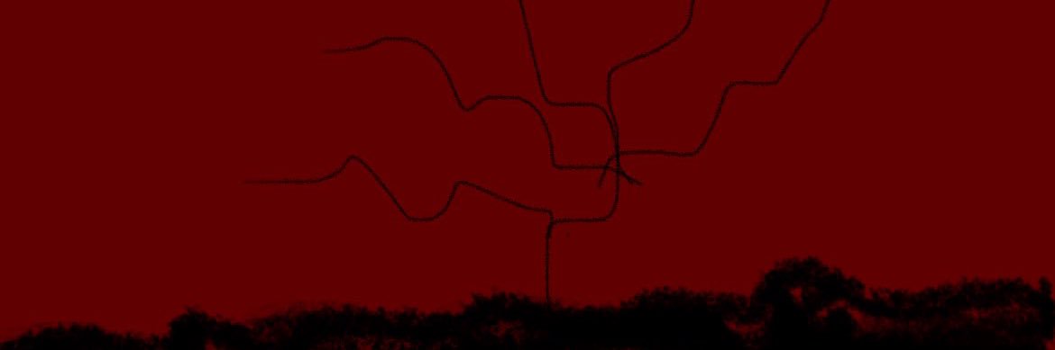 olPrivatelo's profile banner image