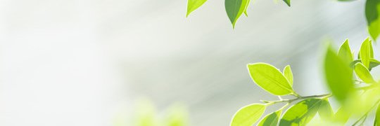 era Collir banner