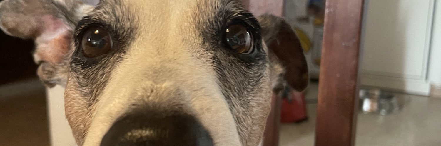 larabottinelli's profile banner image