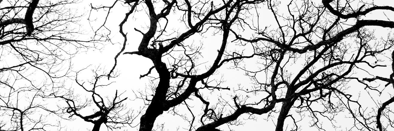 giorgio_b's profile banner image