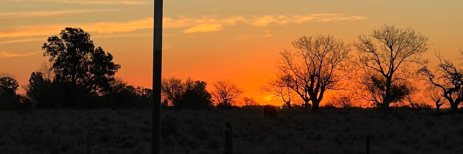 maygorosito's profile banner image